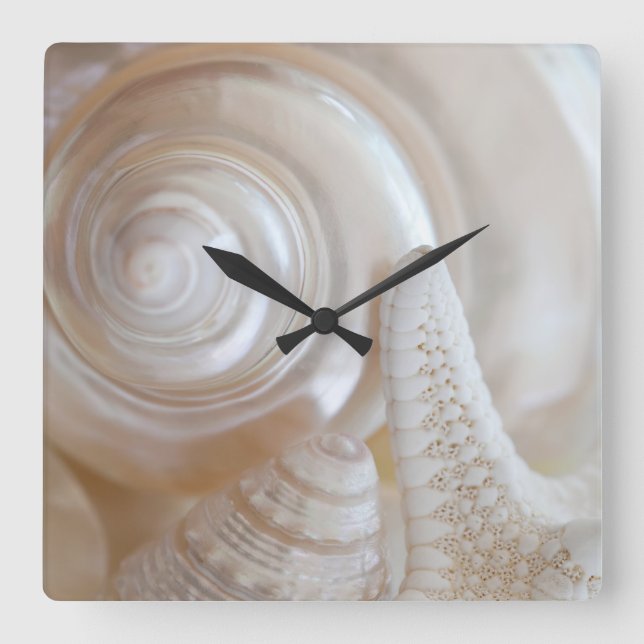 White Seashells Starfish Tropical Beach Sea Shells Square Wall Clock (Front)