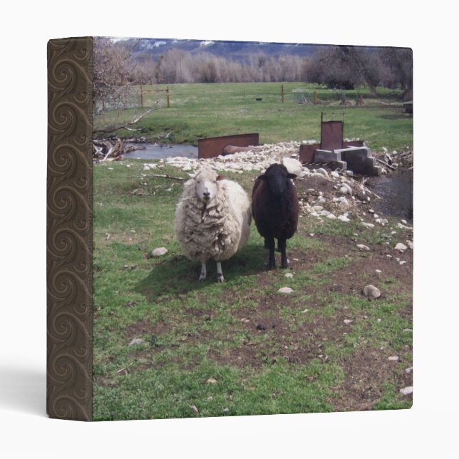 White Sheep Black Sheep 3 Ring Binder (Front/Spine)