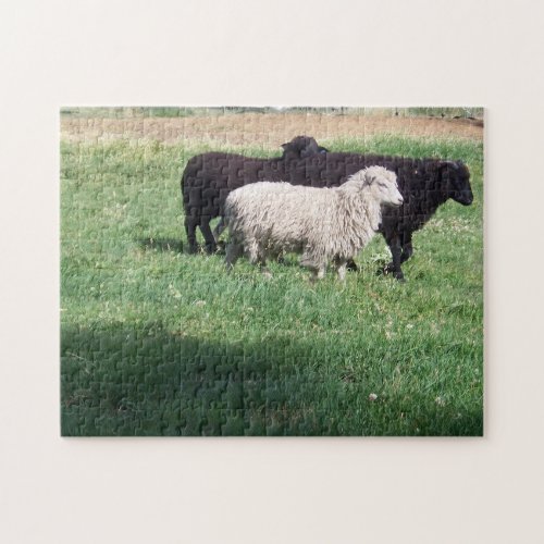 White Sheep Black Sheep Jigsaw Puzzle