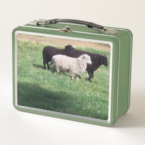 White Sheep Black Sheep Metal Lunch Box
