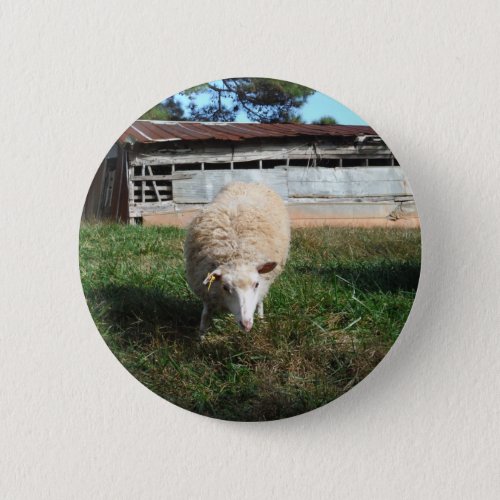 White Sheep on the Farm Button