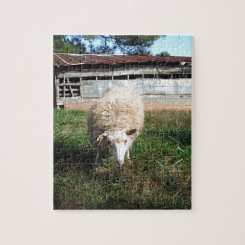 White Sheep on the Farm Jigsaw Puzzle