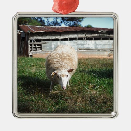 White Sheep on the Farm Metal Ornament