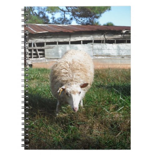 White Sheep on the Farm Notebook