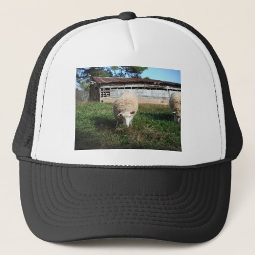 White Sheep on the Farm Trucker Hat