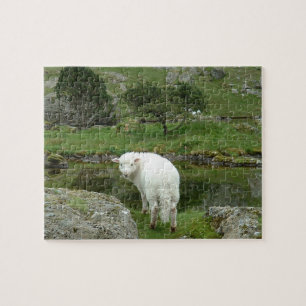 White Sheep, Wales & British Countryside Jigsaw Puzzle