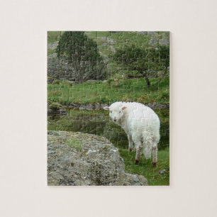 White Sheep, Wales & British Hilwalking Jigsaw Puzzle