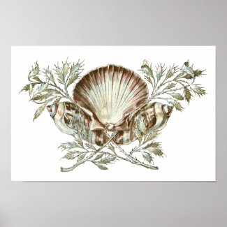 White Shell Poster