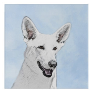 White Shepherd Painting - Cute Original Dog Art
