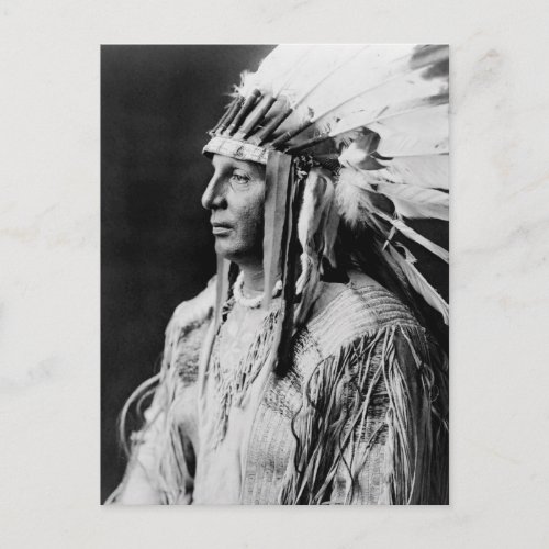 White Shield _ Arikara Native American Indian Postcard