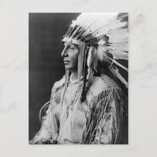 White Shield Postcard