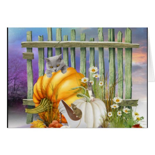 White Shoe Lost in the Pumpkin Patch Cards (Front Horizontal)