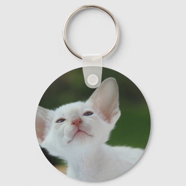 White Siamese kitten Keychain (Front)