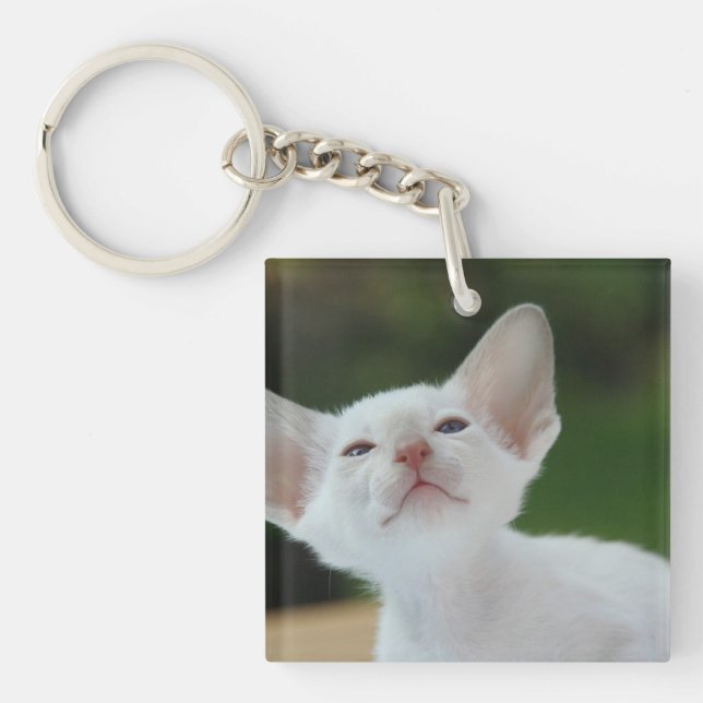 White Siamese kitten Keychain (Front)