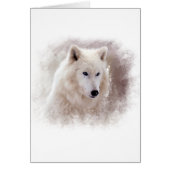 WHITE SIBERIAN HUSKY. (Front)