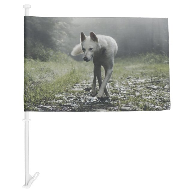 White Siberian Husky Car Flag (Front)