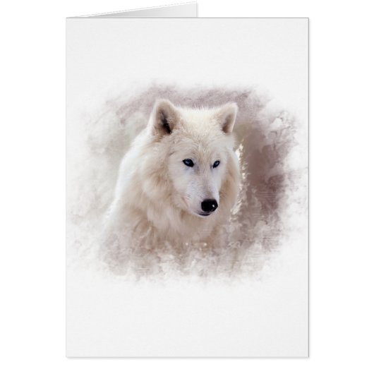 WHITE SIBERIAN HUSKY. CARDS (Front)