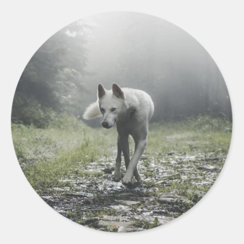 White Siberian Husky Classic Round Sticker