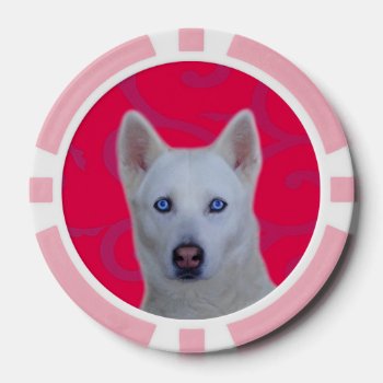 White Siberian Husky Clay Poker Chips  Pink Stripe Poker Chips by usadesignstore at Zazzle