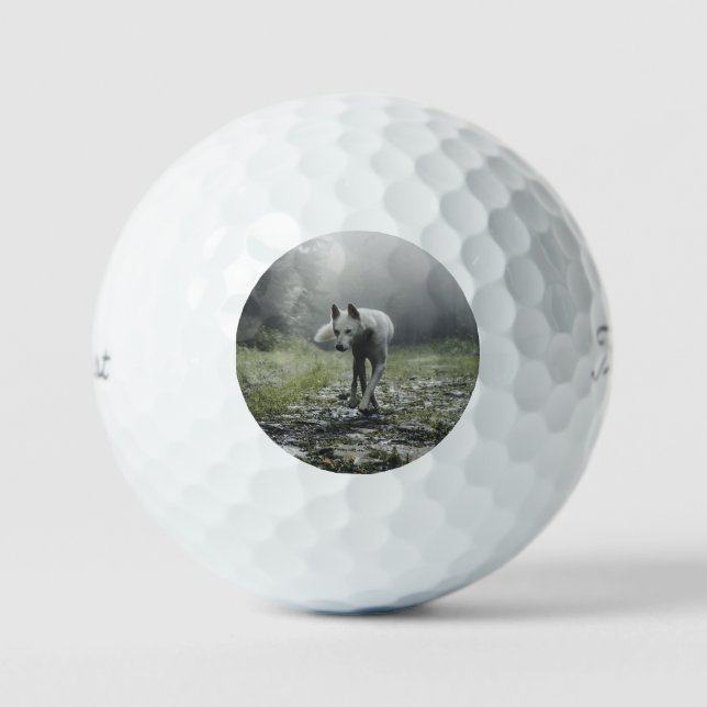 White Siberian Husky Golf Balls (Front)