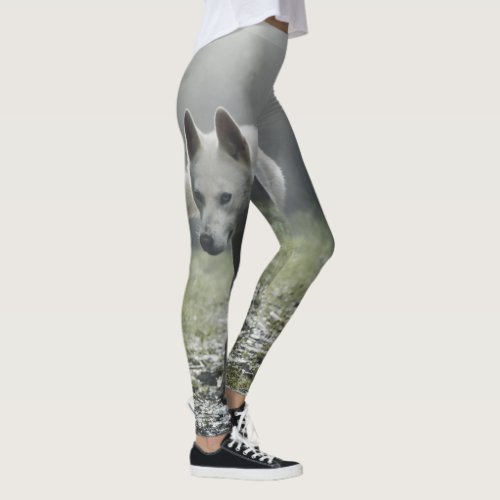 White Siberian Husky Leggings