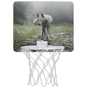 White Siberian Husky Mini Basketball Hoop