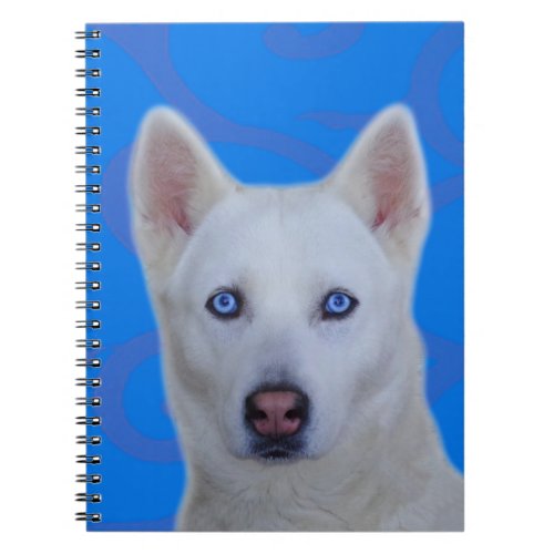 White Siberian Husky Notebook