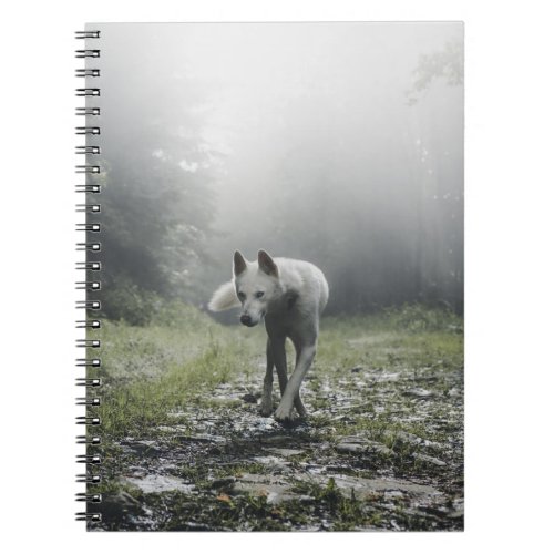 White Siberian Husky Notebook