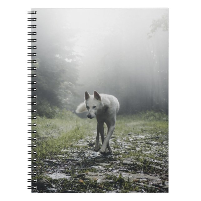 White Siberian Husky Notebook (Front)