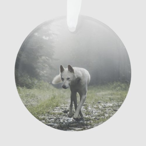 White Siberian Husky Ornament