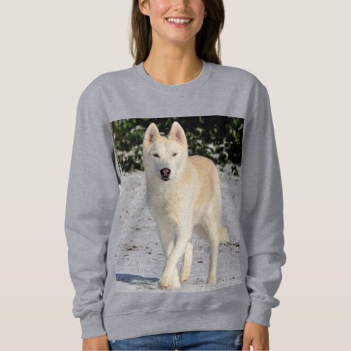  White Siberian Husky photo on ladys sweatshirt