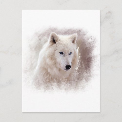 WHITE SIBERIAN HUSKY POSTCARD