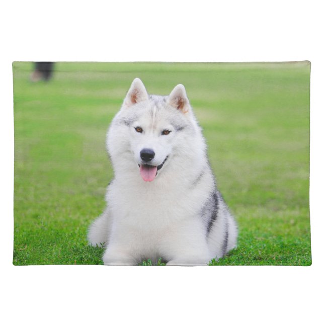 White Siberian Husky Puppy on Green Grass Field Cloth Placemat (Front)