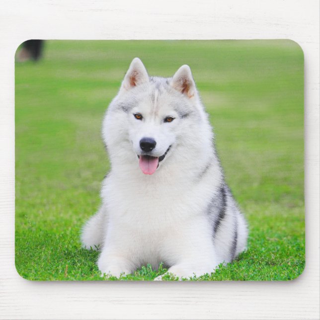 White Siberian Husky Puppy on Green Grass Field Mouse Pad (Front)