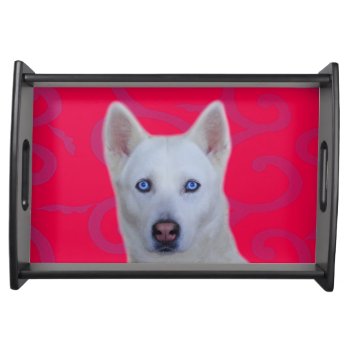 White Siberian Husky Serving Tray by usadesignstore at Zazzle