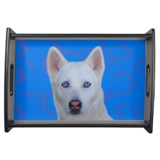 White Siberian Husky Serving Tray