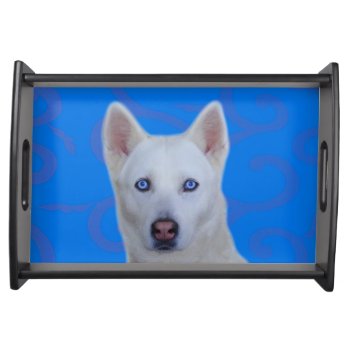 White Siberian Husky Serving Tray by usadesignstore at Zazzle
