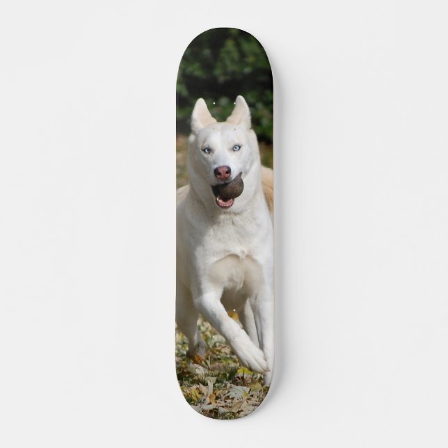 White Siberian husky skateboard Deck (Front)