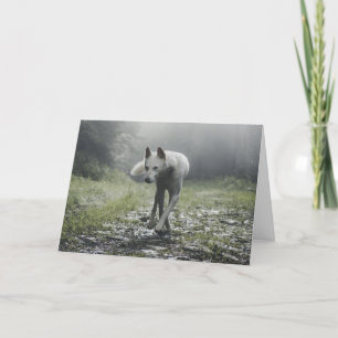 White Siberian Husky Thank You Card