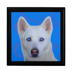 White Siberian Husky Tile Gift Box