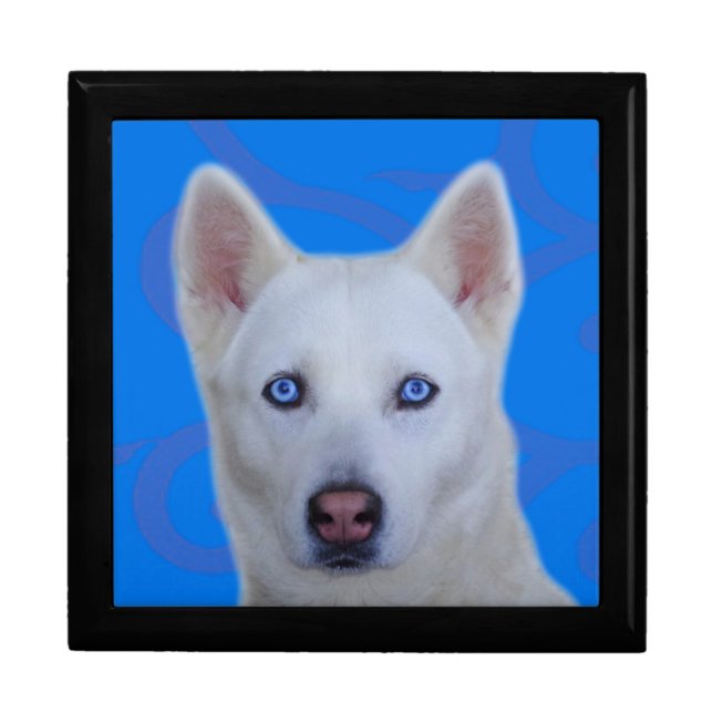 White Siberian Husky Tile Gift Box (Front)