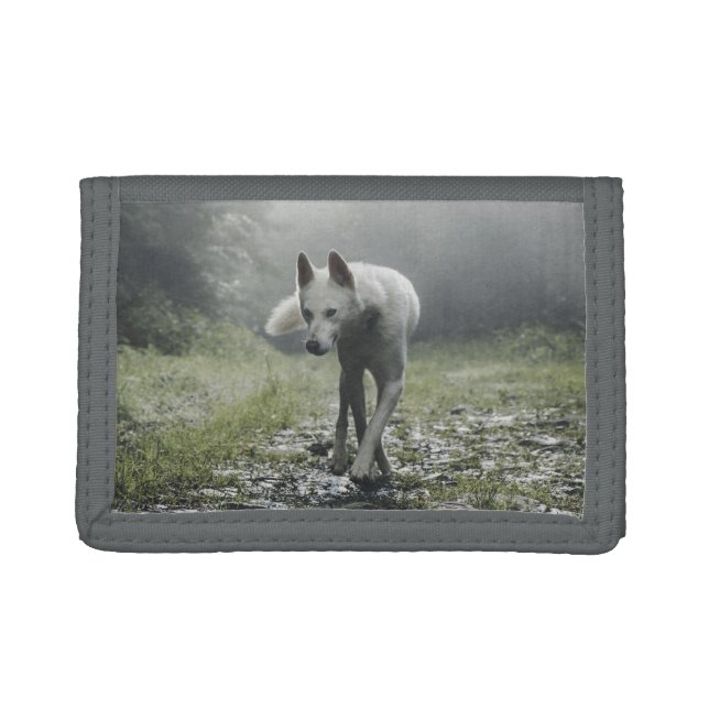 White Siberian Husky Trifold Wallet (Front)