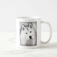 White Siberian Husky w/ Blue Eyes Fine Art Sketch