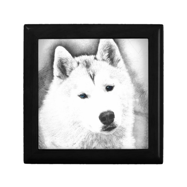 White Siberian Husky w/ Blue Eyes Fine Art Sketch Keepsake Box (Front)