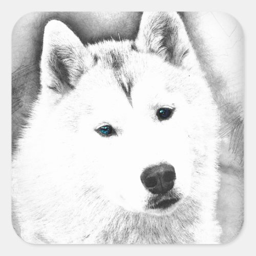 White Siberian Husky w Blue Eyes Fine Art Sketch Square Sticker