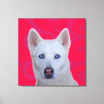 White Siberian Husky Wrapped Canvas by usadesignstore at Zazzle