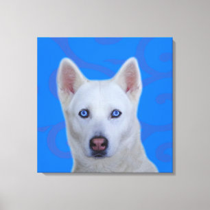 White Siberian Husky Wrapped Canvas Print