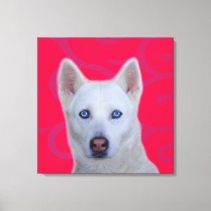 White Siberian Husky Wrapped Canvas Print