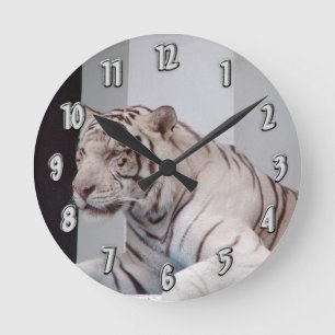 White Siberian Tiger Wall Clock