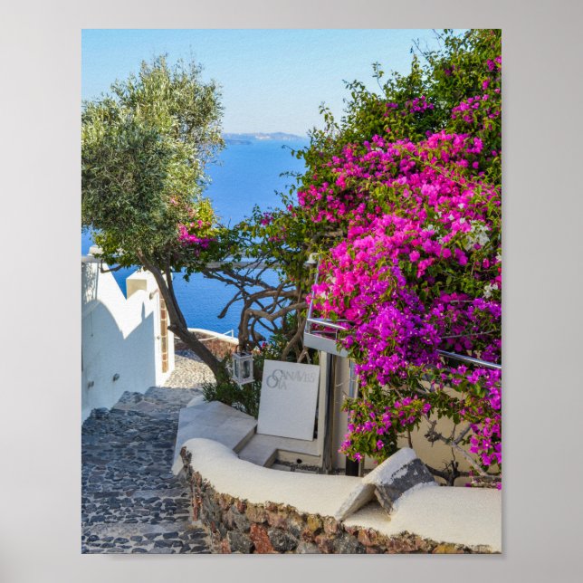 White Signage Beside Purple Bougainvillea  Poster (Front)